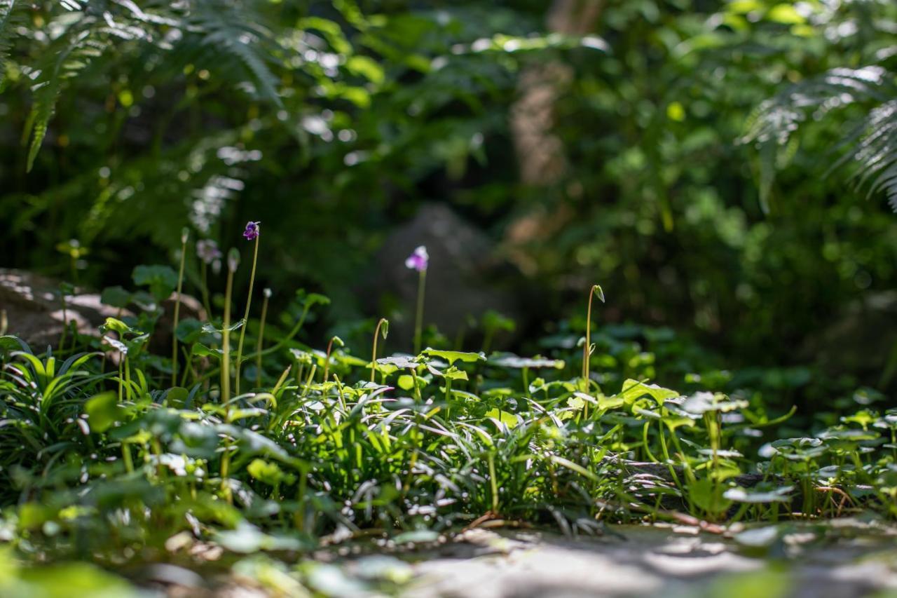 Hotel Higurashi-Sou Kyōto Esterno foto